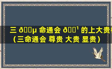 三 🐵 命通会 🌹 的上大贵格（三命通会 尊贵 大贵 显贵）